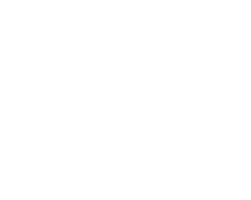 ejunkie powerful mobility logo weiss