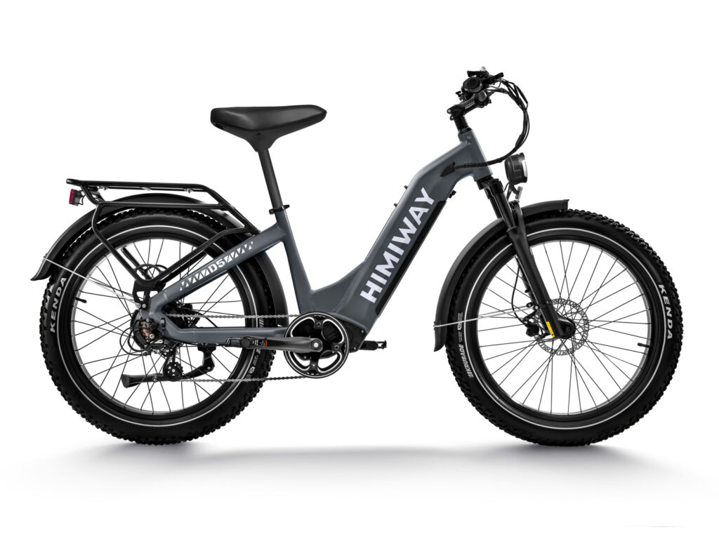 Himiway D5 Zebra Fat E-Bike