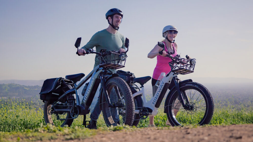 Himiway D5 Zebra Fat E-Bike