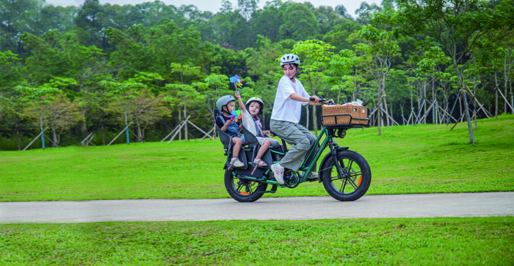 Fiido T2 Cargo E-Bike