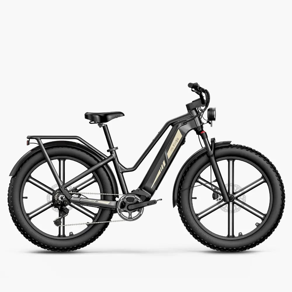 Fiido Titan Fatbike E-Bike – Produktansicht