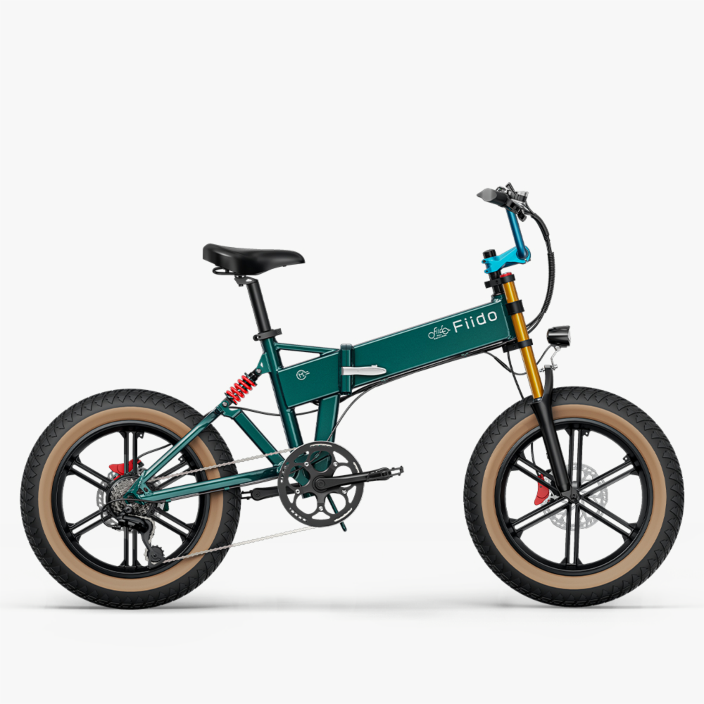 Fiido M1 Pro Fatbike E-Bike – Produktansicht