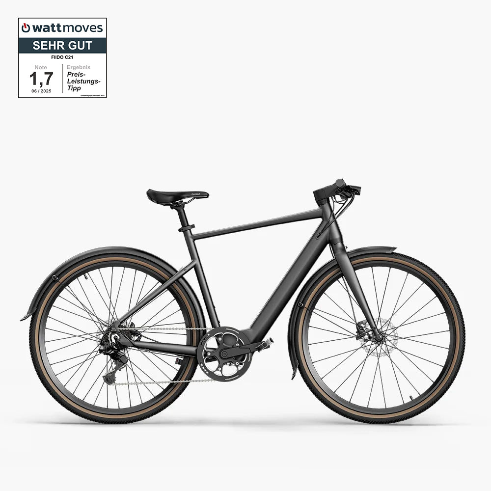 Fiido C21 E-Gravel & City E-Bike – Produktansicht